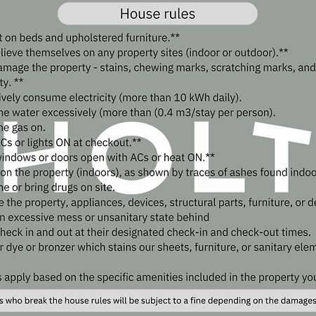 Holt Balcones Guesthouse - King Bed Room Σαν Μιγκέλ ντε Αγιέντε Εξωτερικό φωτογραφία